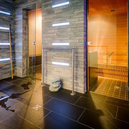 Otel Alpenlodge Zermatt
